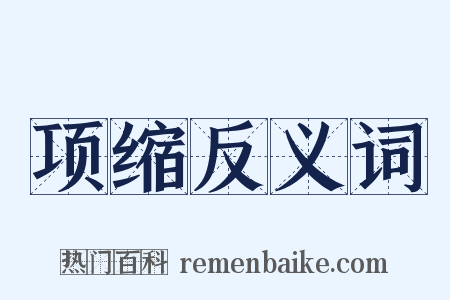 项缩反义词是什么意思的图片